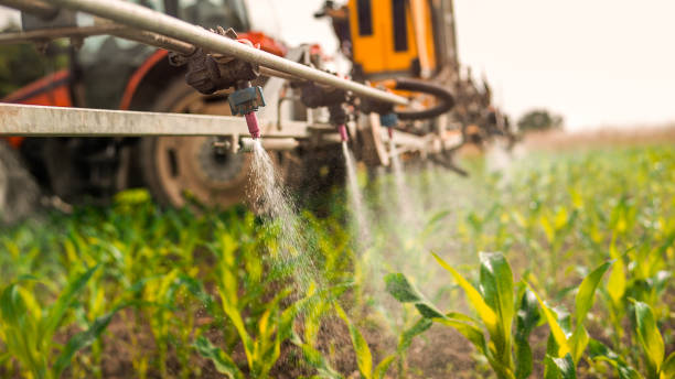 Best Mosquito Control Services  in Carefree, AZ